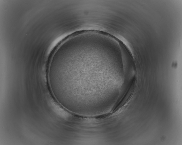 X0000093151120200709261439