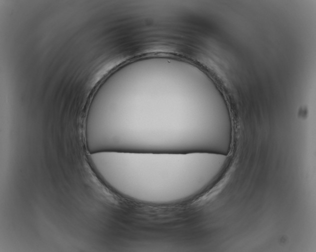 X0000093151121200709261439