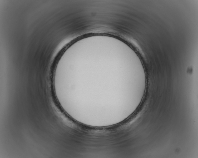 X0000093151122200709261439