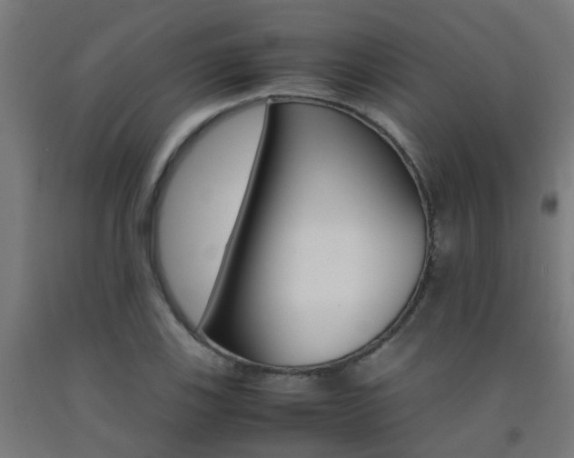 X0000093151123200709261439
