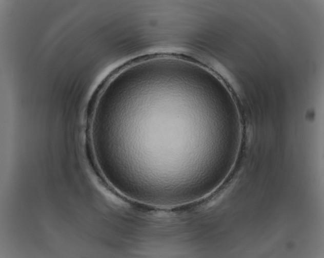 X0000093151124200709261440