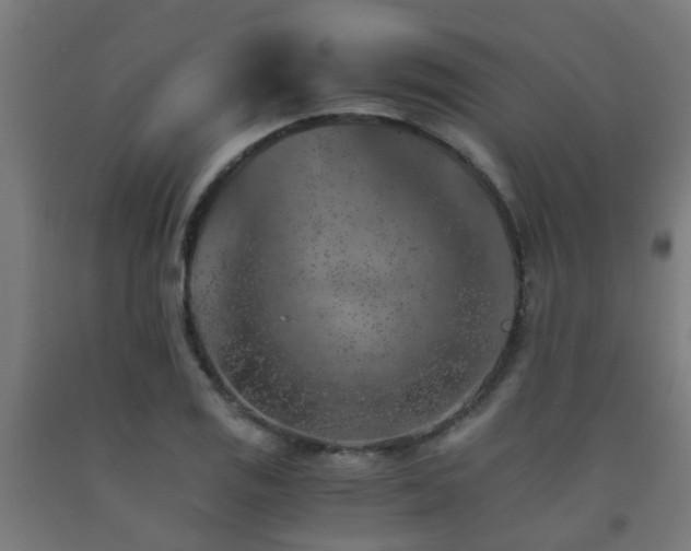 X0000093151125200709261440