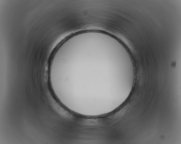 X0000093151126200709261440