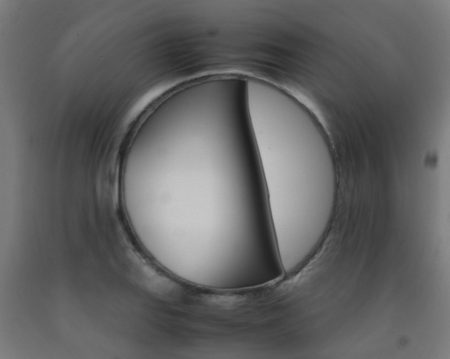 X0000093151127200709261440