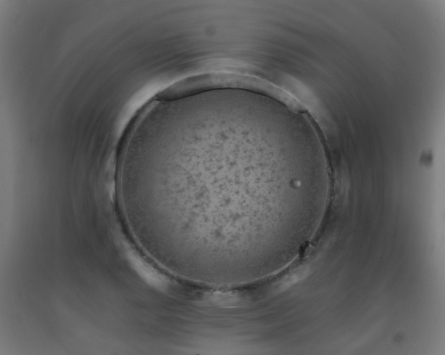 X0000093151128200709261440