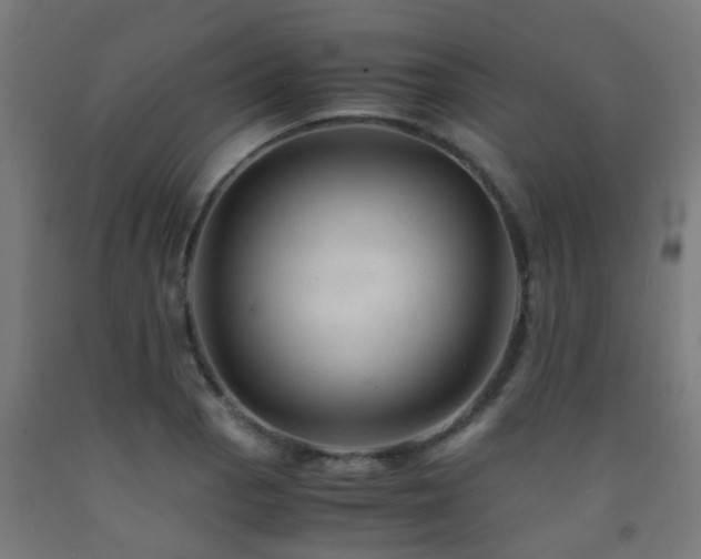 X0000093151129200709261440