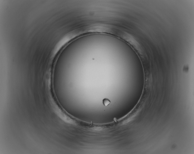 X0000093151130200709261440