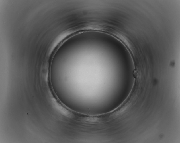 X0000093151131200709261440