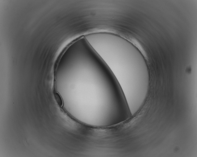 X0000093151132200709261440