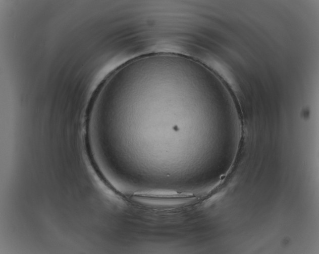 X0000093151133200709261440
