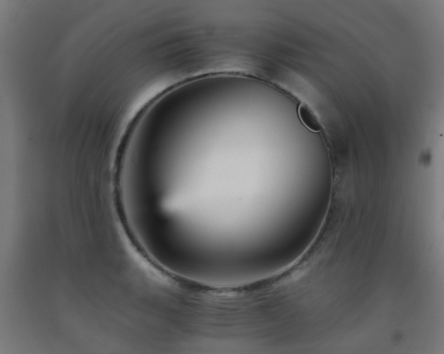 X0000093151135200709261440