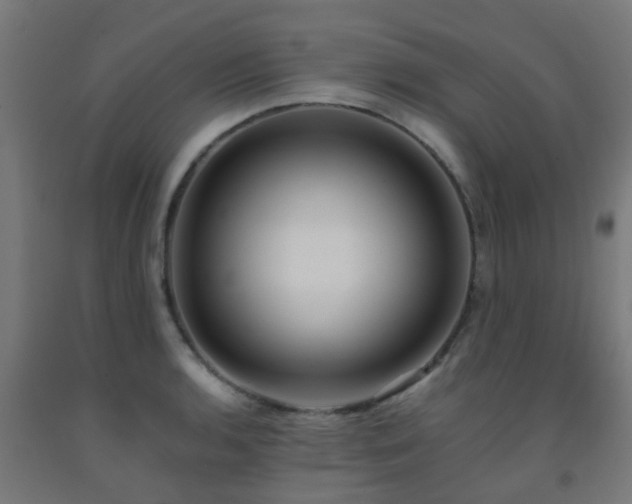 X0000093151136200709261440