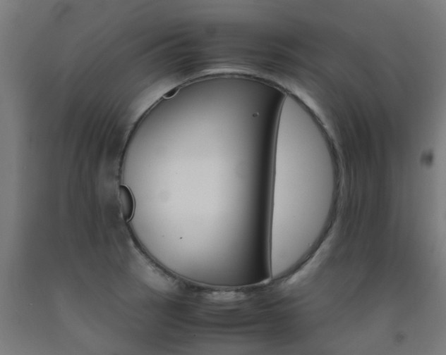 X0000093151137200709261440