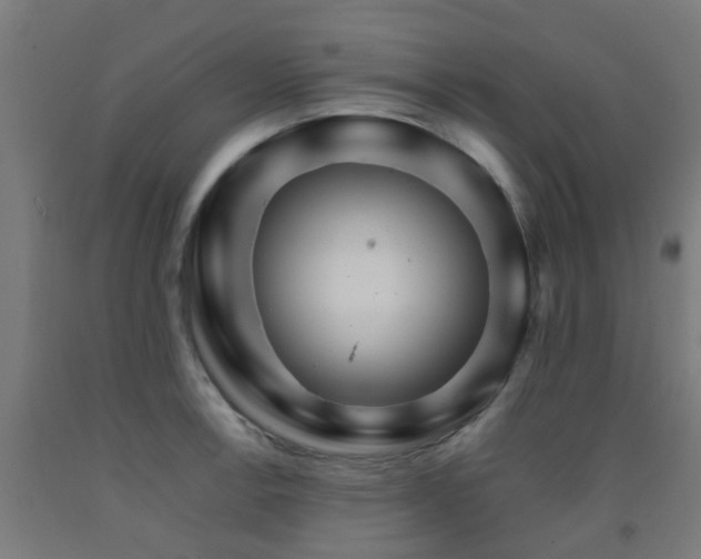 X0000093151138200709261440