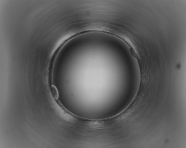 X0000093151139200709261440