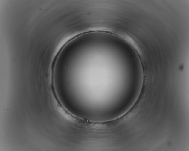 X0000093151140200709261440