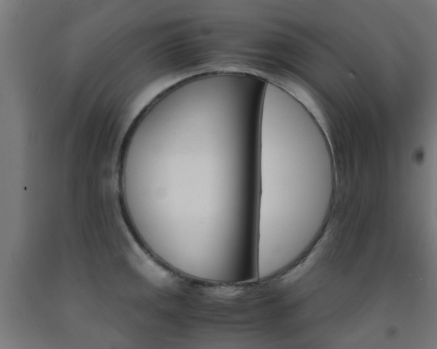 X0000093151141200709261440