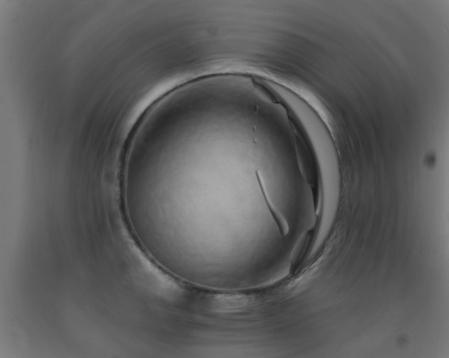 X0000093151142200709261440