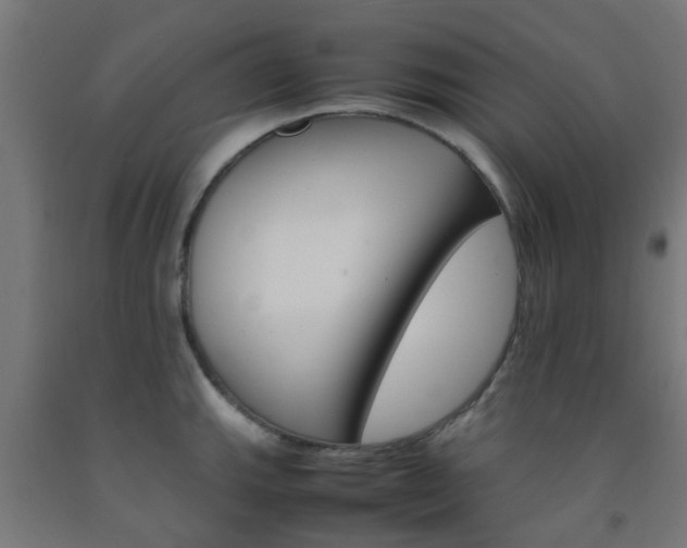 X0000093151143200709261440