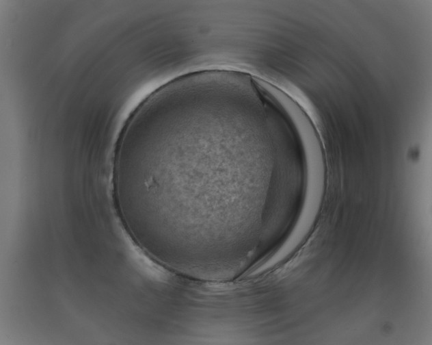 X0000093151144200709261440