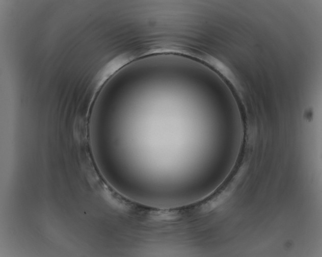 X0000093151145200709261440