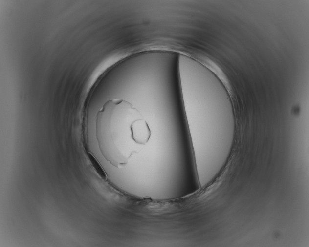 X0000093151146200709261440