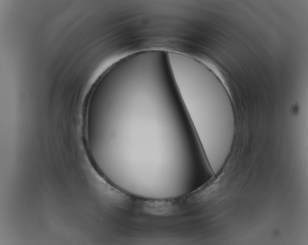 X0000093151147200709261440