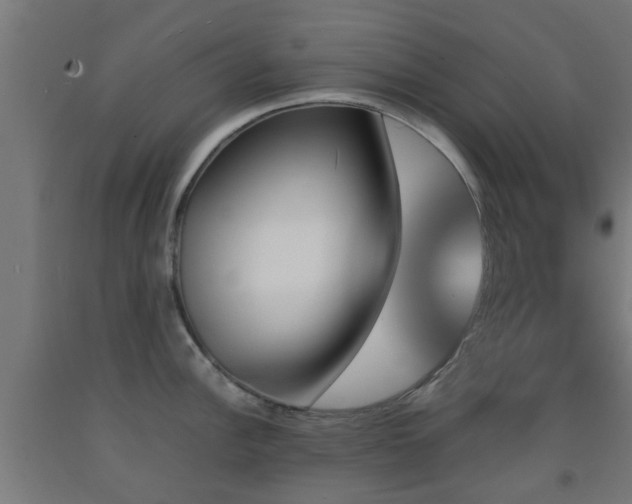X0000093151148200709261440