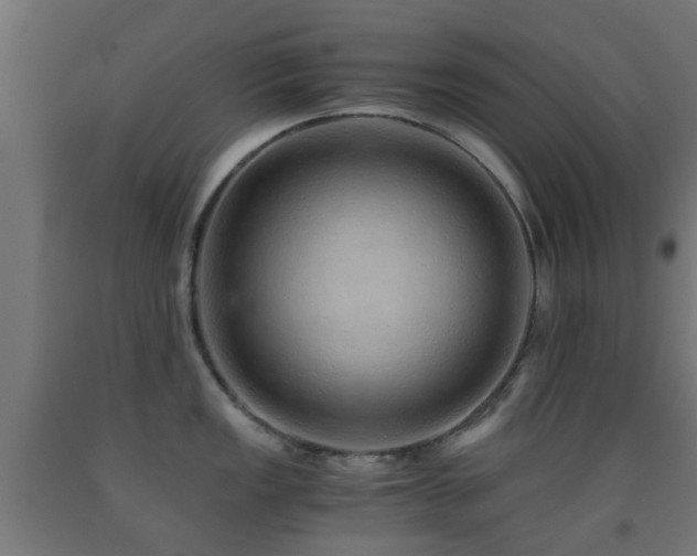 X0000093151149200709261440