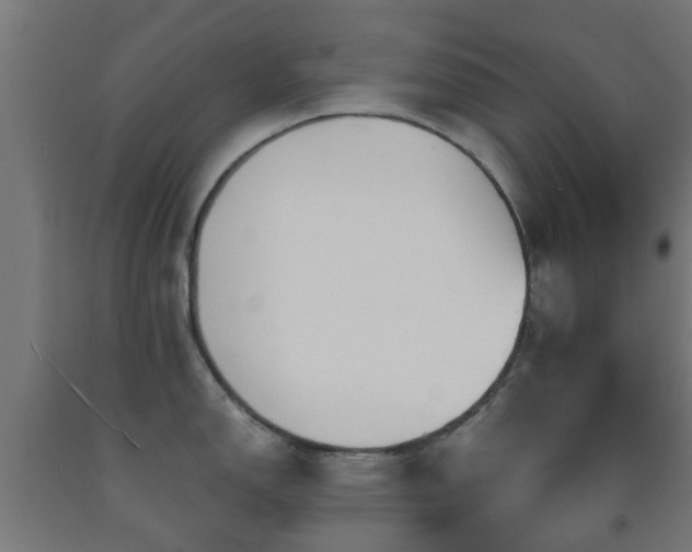 X0000093151150200709261440