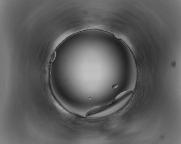 X0000093151151200709261440