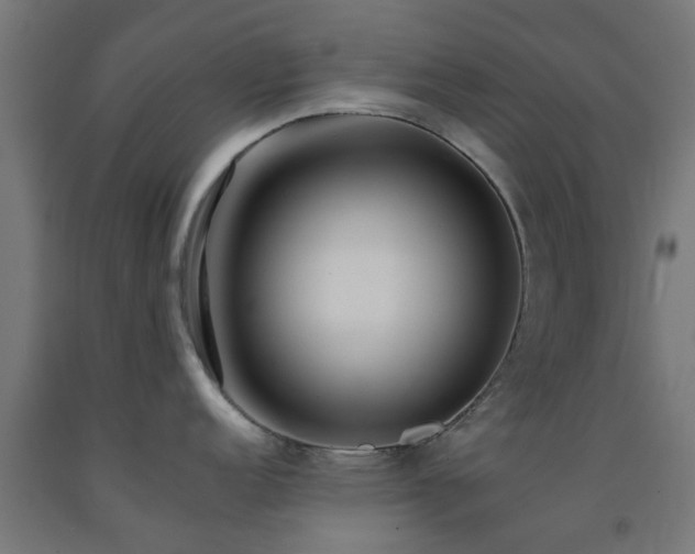 X0000093151152200709261440