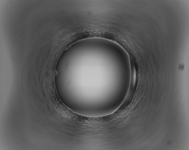 X0000093151153200709261439