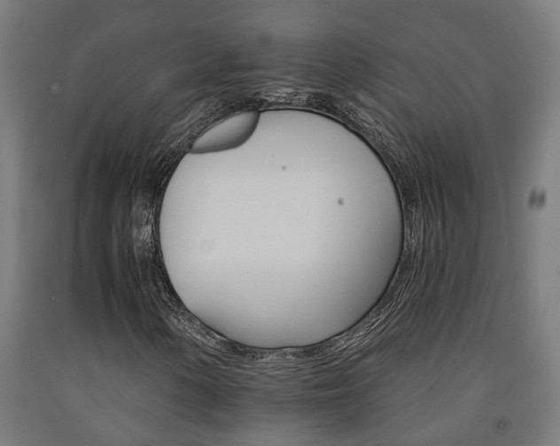 X0000093151154200709261439