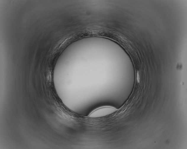 X0000093151155200709261439