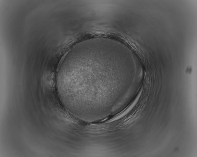 X0000093151156200709261439