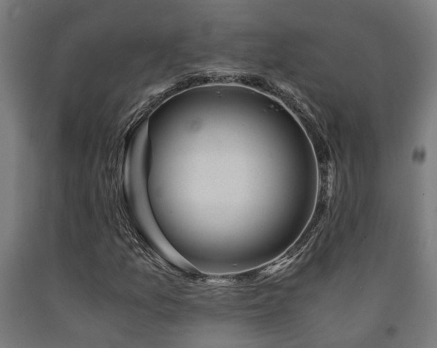 X0000093151157200709261439