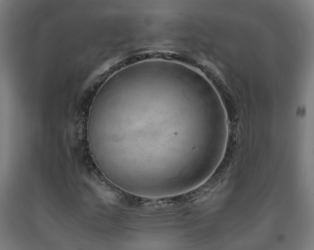 X0000093151159200709261439