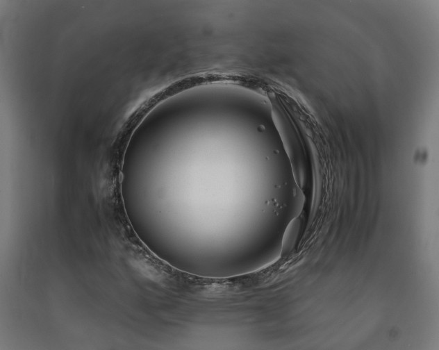 X0000093151160200709261439