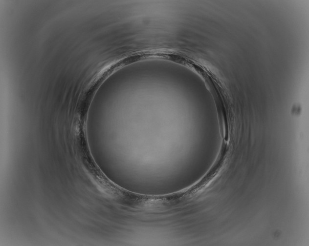 X0000093151161200709261439
