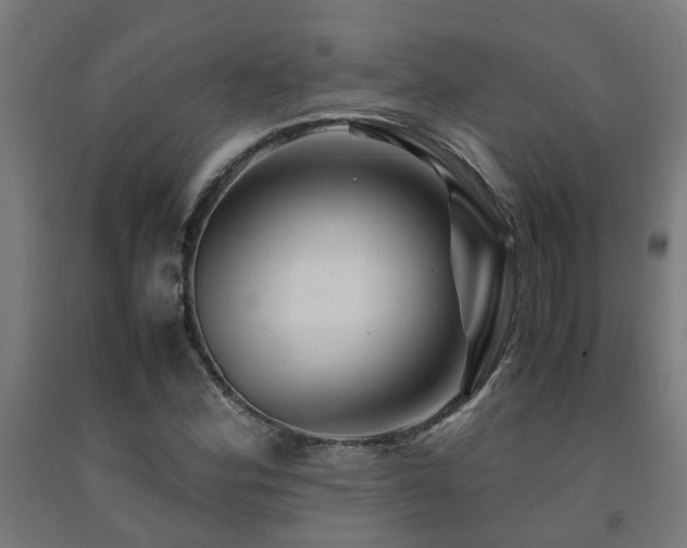 X0000093151164200709261439