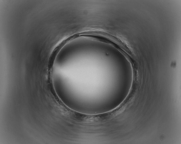 X0000093151165200709261439