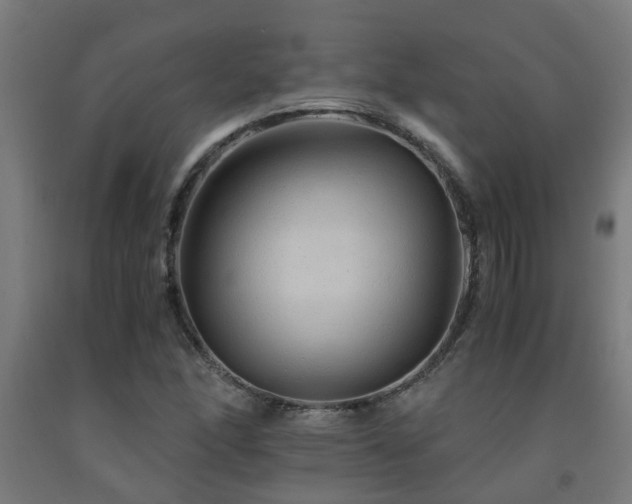 X0000093151166200709261439