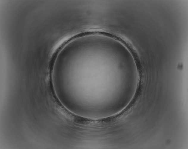 X0000093151167200709261439