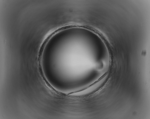 X0000093151168200709261439
