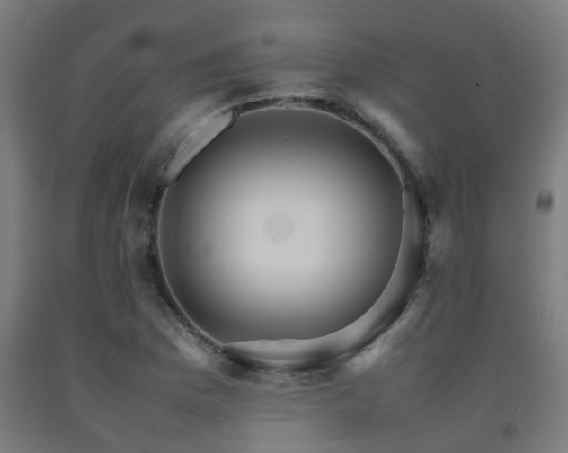X0000093151169200709261439