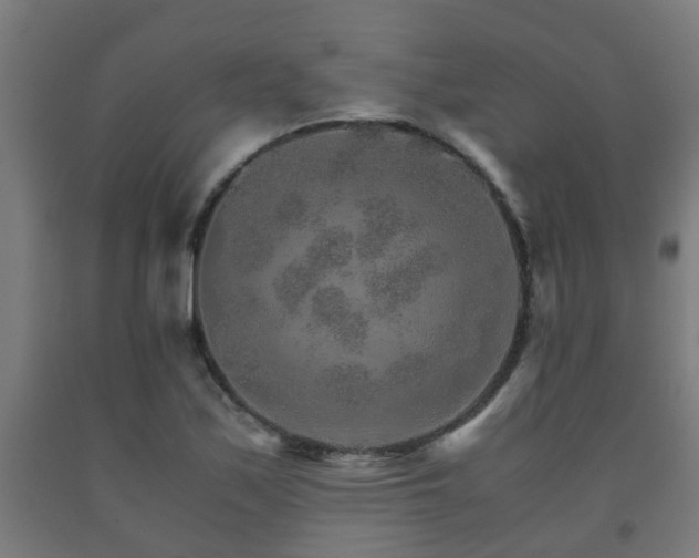X0000093151171200709261439