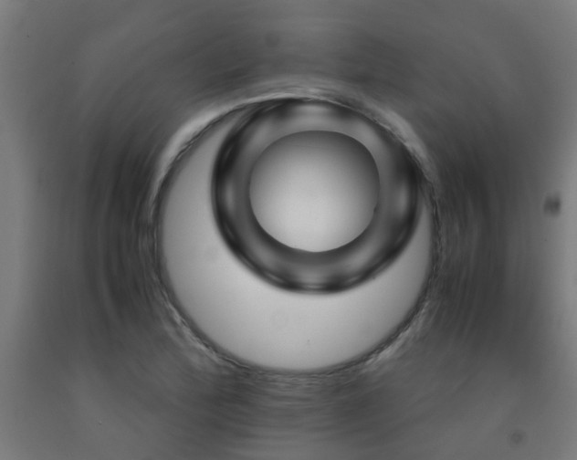 X0000093151172200709261439