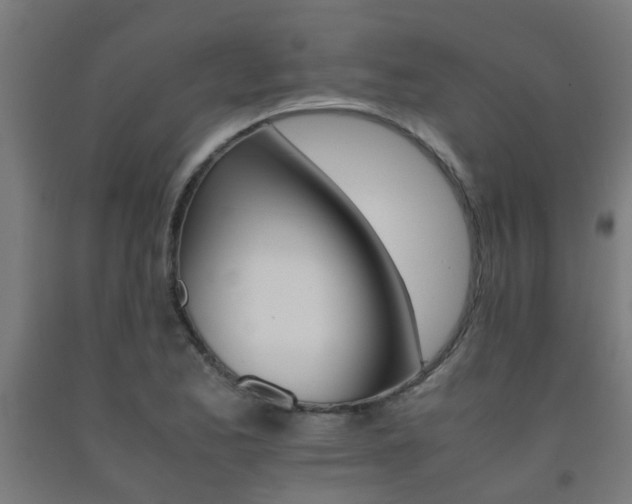 X0000093151173200709261439