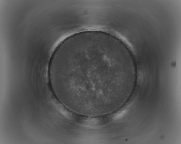 X0000093151174200709261439